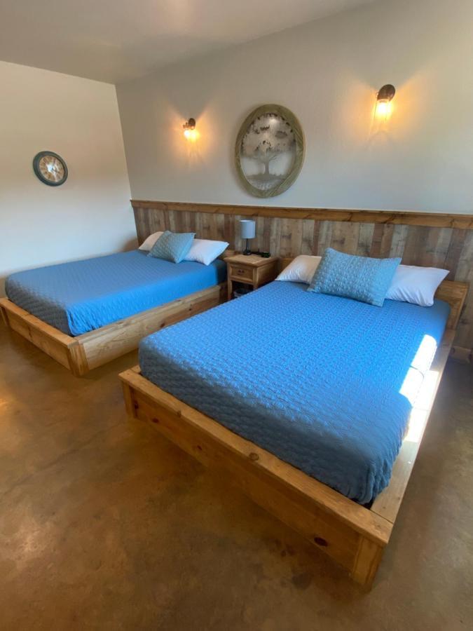 The Woods Lodging Kingston Cameră foto